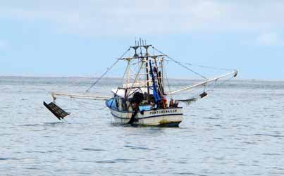 Fishing Trips